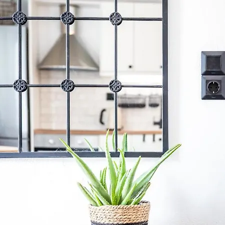 Maison Grey Скопелос